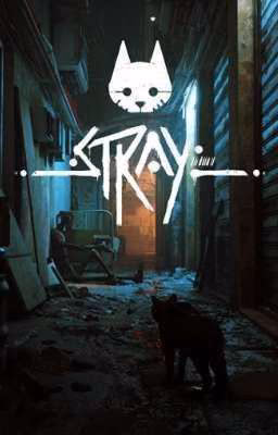 Stray {Реакции}