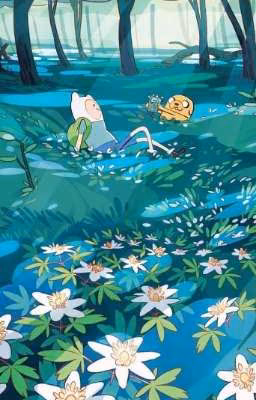 Adventure time x reader