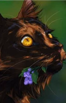 целебный справочник:коты-воители