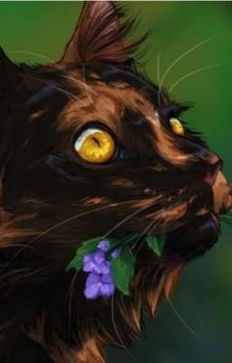 целебный справочник:коты-воители