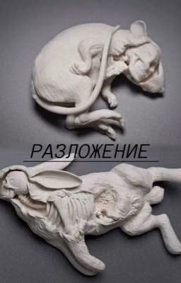 Разложение