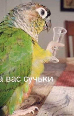 то чего скорее всего вы не ожидали от меня