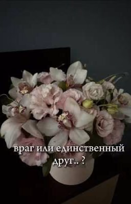 враг или единственный друг? 
