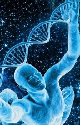 [BL] Межзвёздный брак