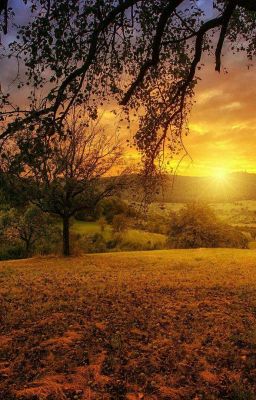 На рассвете