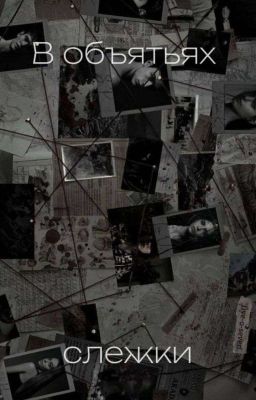 В объятьях слежки