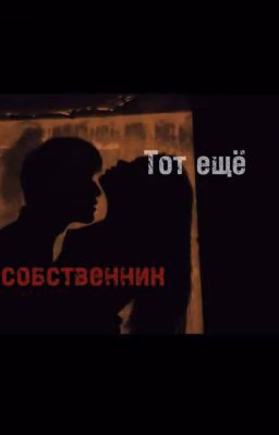 Тот ещё собственник