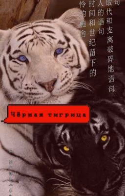 Чёрная тигрица||Великий из бродячих псов ||ЗАМОРОЖЕН||