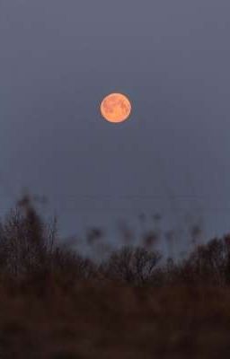 Мы ближе, чем думали...