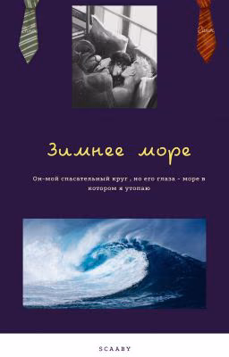 Зимнее море