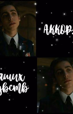 Аккорды наших чувств