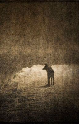пес-призрак.Удивительная история девочки.