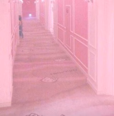 Нежданные гости