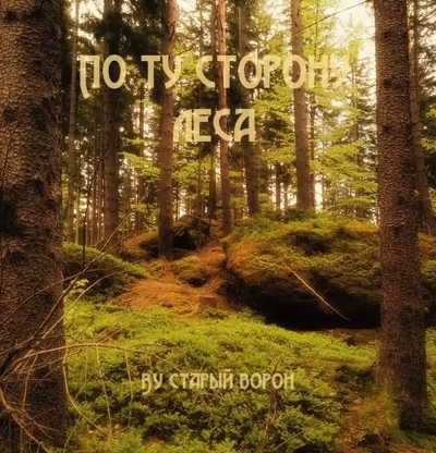 По ту сторону леса