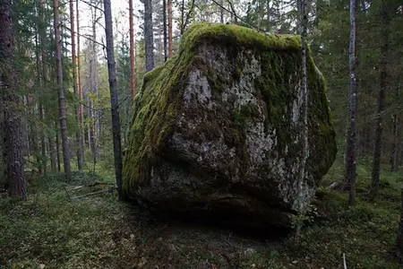 пожалуйста, не анализируйте