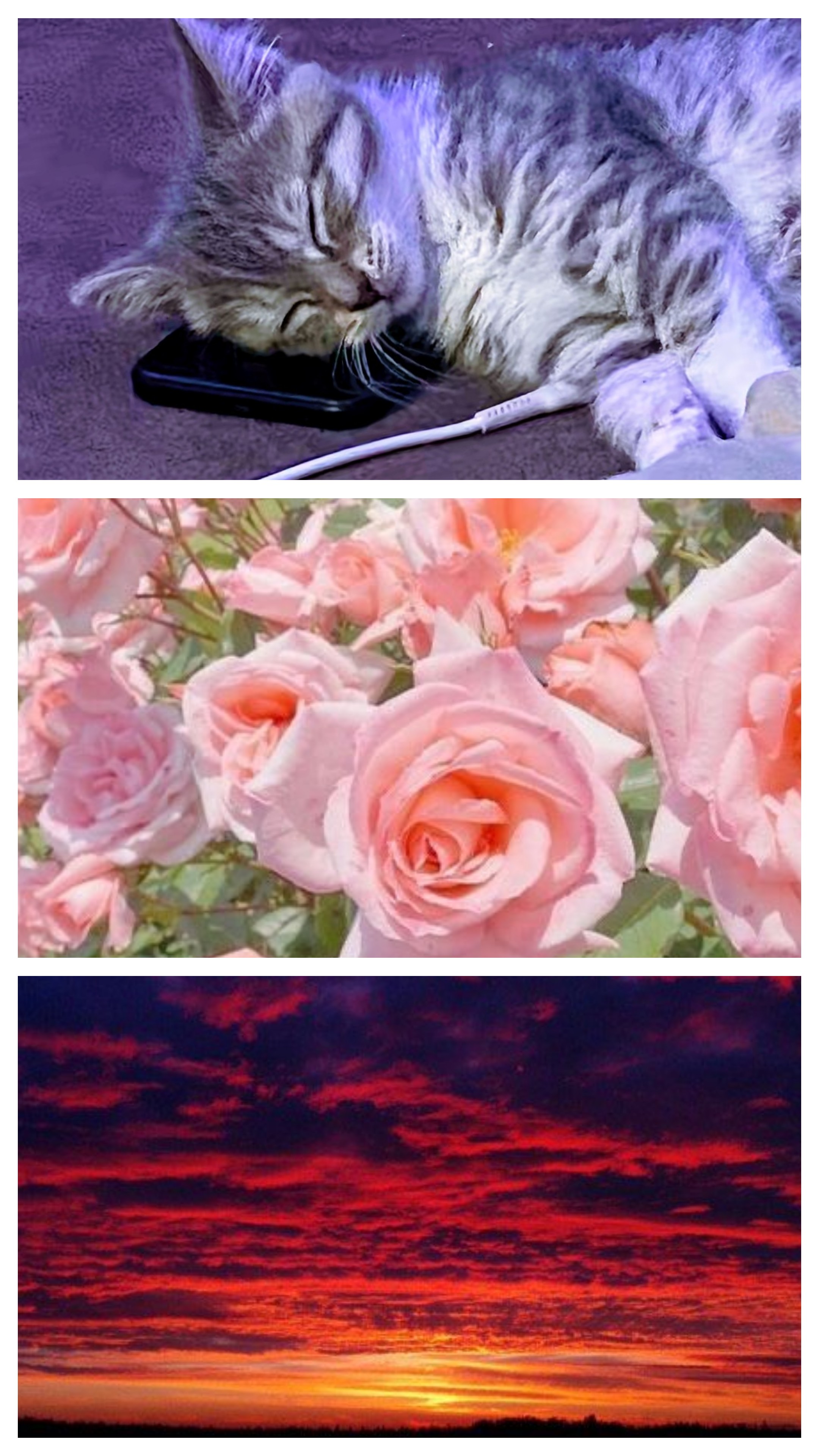 "Из друзей в.. ♡"