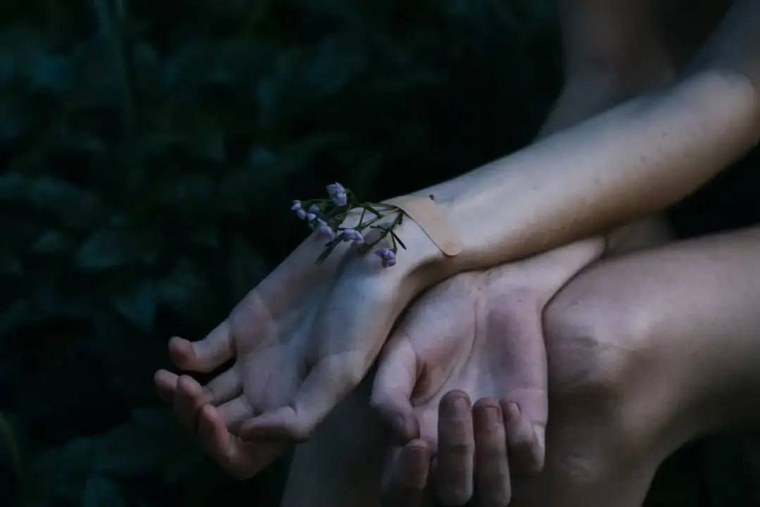 Reasons to stay alive.