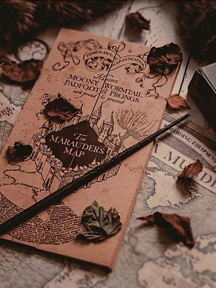 «ЧЕТЫРЕ ХВОСТА И ОДНА ТАЙНА» Приквел к истории создания Карты Мародеров(ЗАВЕРШЁН)