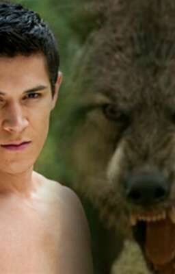 Без обязательств   