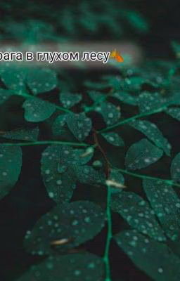 Два врага в глухом лесу🍂
