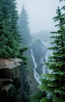 Тайна запретного леса