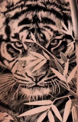 Затаивщейся Тигр. 