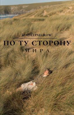 По ту сторону мира
