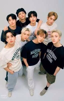 Сборник ✨Stray kids✨
