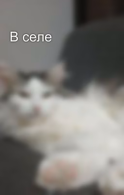 В селе