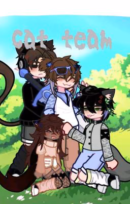 cat team