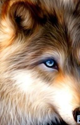 Безродная.(заморожено)