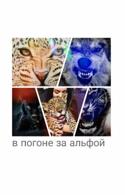 в погоне за альфой