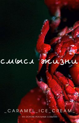 Смысл жизни