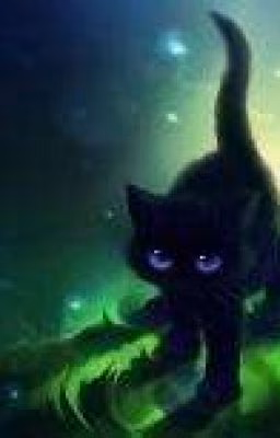 Перерождение в.. ну, конечно, кота|Reincarnation in.. well, of course, a cat