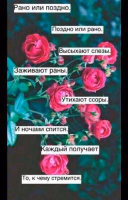 Стихи XXI века
