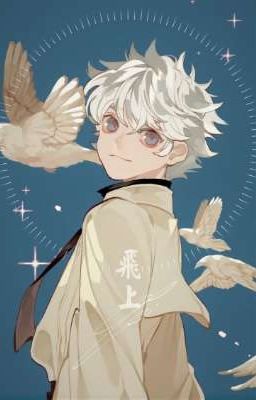    Т/и в мире Хантер х Хантер [ХЕРНЯ Полная!]