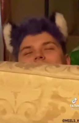 враги и не большее!