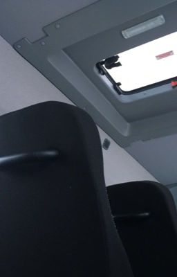 Кузнецы счастья