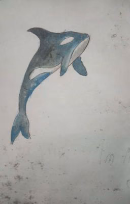 рисунки