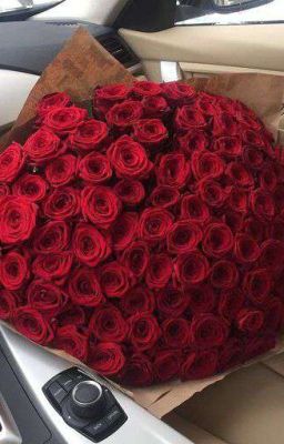 Т/и учительница + Мафии 