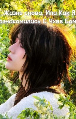 Жизнь снова, Или Как Я Познакомилась С Чхве БОМГЮ