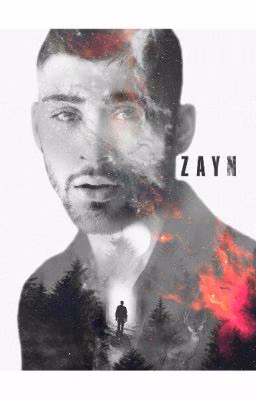 Zayn // book (fragments)