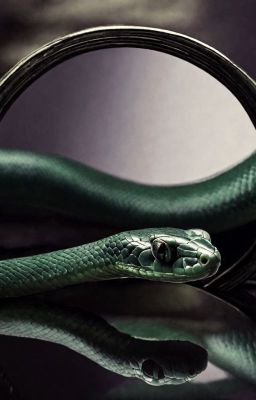 Тень Василиска