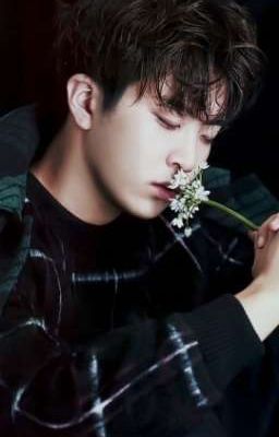 Следующая жизнь будет лучше.