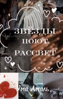 Звёзды поют рассвет
