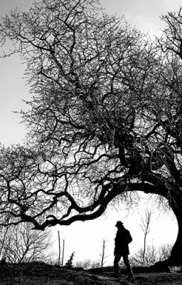 БЕГУЩИЙ ОТ МРАКА