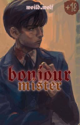 bonjour, mister! (РЕДАКТИРУЕТСЯ)