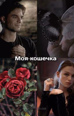 Моя кошечка