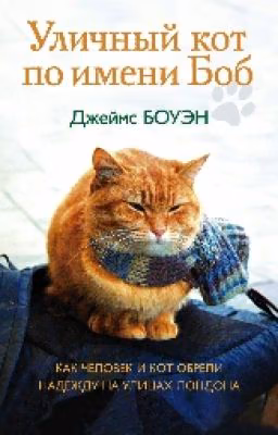 Уличный Кот По Имени Боб