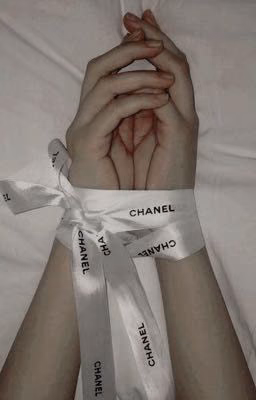Любимые цитаты